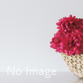 no image no image