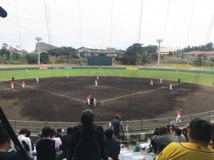 阪神キャンプ宜野座2